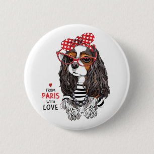 Stolt Spaniel för kung Charles från Paris med Knapp
