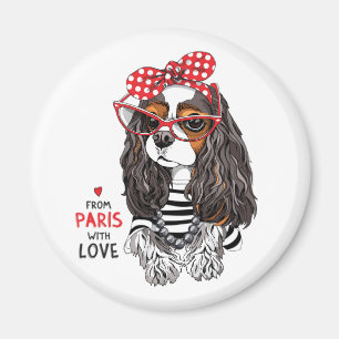 Stolt Spaniel för kung Charles från Paris med Magnet
