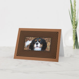 Stolt Spaniel för kung Charles i höst löv Kort