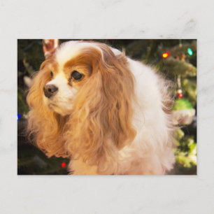 Stolt Spaniel för kung Charles med julgranen Helg Vykort