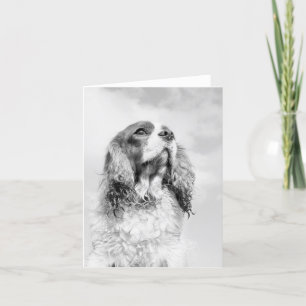Stolt Spaniel för kung Charles på en tom notecard Kort