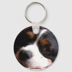 Stolt Spaniel Keychain för kung Charles Nyckelring