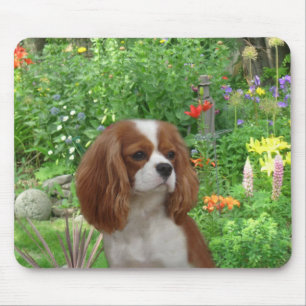Stolt Spaniel Mousepad för kung Charles Musmatta