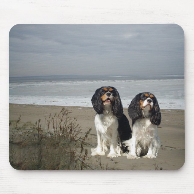 Stolt Spaniel Mousepad för kung Charles Musmatta (Framsidan)
