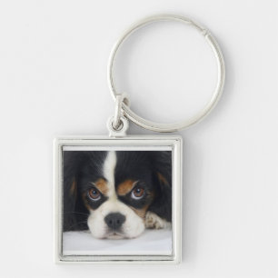 Stolt Spaniel Tri-Färgade Keychain för kung Fyrkantig Silverfärgad Nyckelring