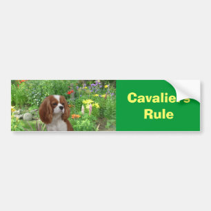 Stolt Spanielbildekal för kung Charles Bildekal