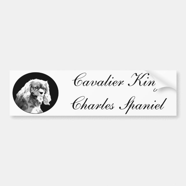 Stolt spanielbildekal för kung charles bildekal (Framsidan)