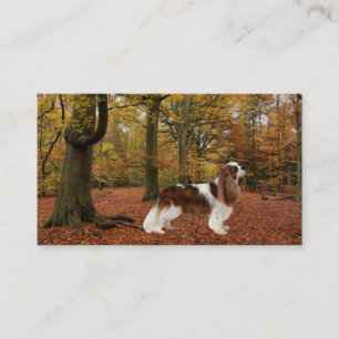 Stolt SpanielBreede för kung Charles visitkort
