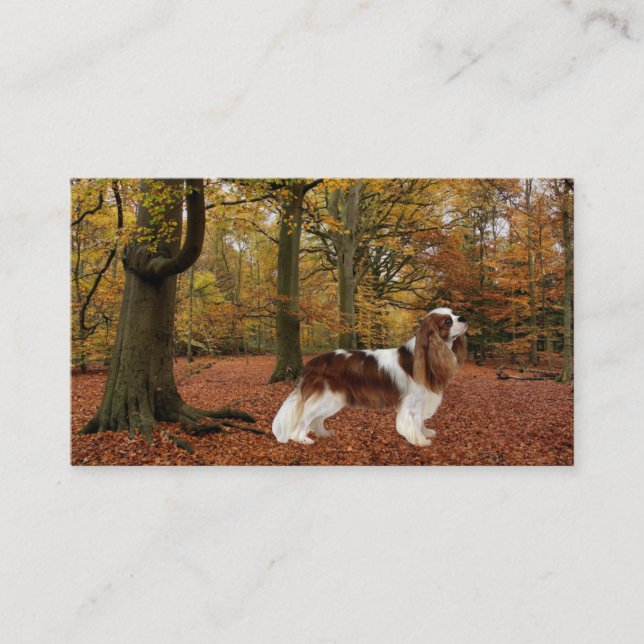 Stolt SpanielBreede för kung Charles visitkort (Framsida)