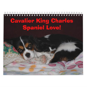 Stolt Spanielkärlek för kung Charles! Kalender
