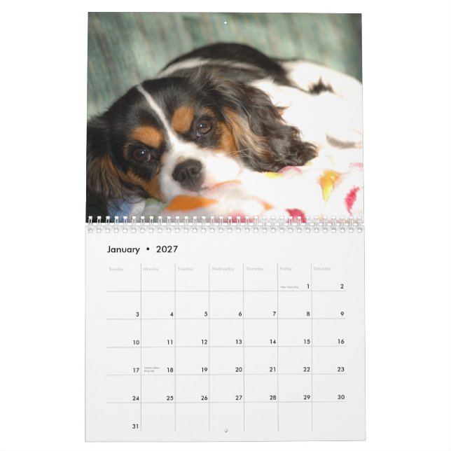 Stolt Spanielkärlek för kung Charles! - Skräddarsy Kalender (Jan 2027)