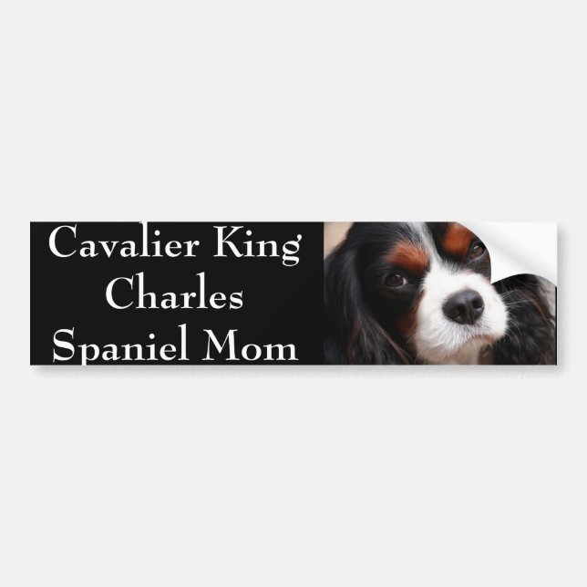 Stolt Spanielmamma för kung Charles Bildekal (Framsidan)