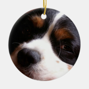 Stolt Spanielprydnad för kung Charles Julgransprydnad Keramik