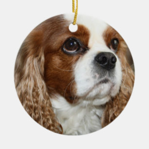 Stolt Spanielprydnad för kung Charles Julgransprydnad Keramik