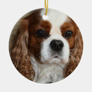 Stolt Spanielprydnad för kung Charles Julgransprydnad Keramik