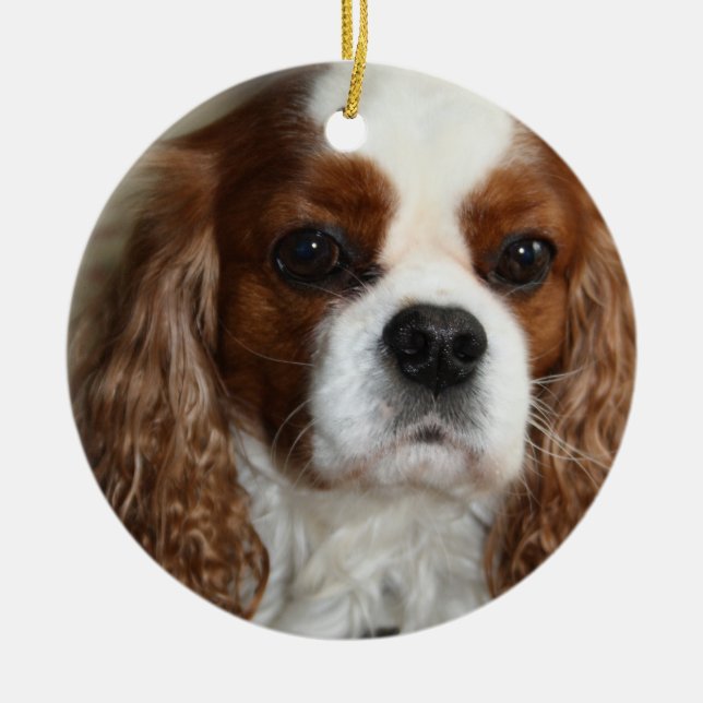 Stolt Spanielprydnad för kung Charles Julgransprydnad Keramik (Framsidan)
