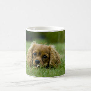 Stolt SpanielRuby för kung Charles Kaffemugg
