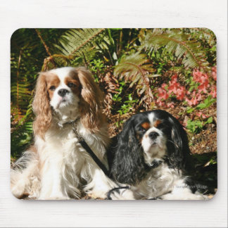 Stolt Spaniels Mousepad Musmatta