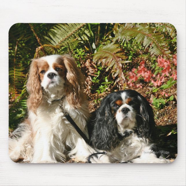 Stolt Spaniels Mousepad Musmatta (Framsidan)
