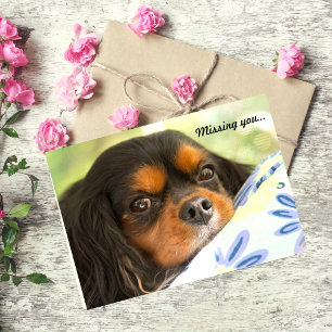 Stolt Spanielsaknad för kung Charles som du Card Kort