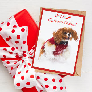 Stolt Spanielspring för kung Charles i snökort Helgkort