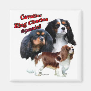 Stolt SpanielTrio 2 för kung Charles - magnet