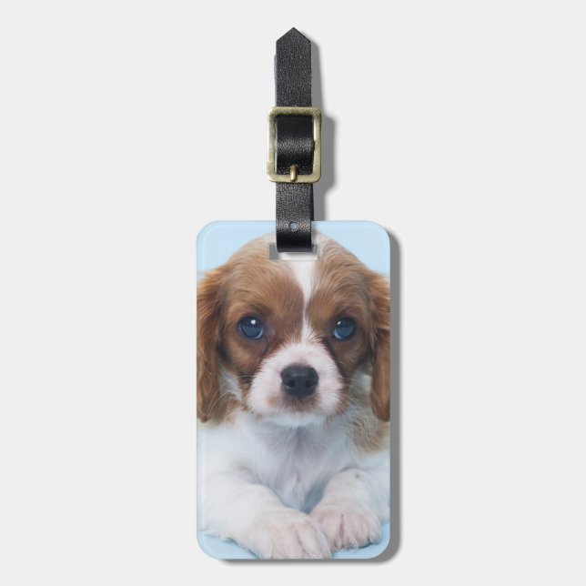 Stolt Spanielvalp för kung Charles Bagagebricka (Vertikal Framsida)