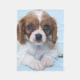 Stolt Spanielvalp för kung Charles Fleecefilt