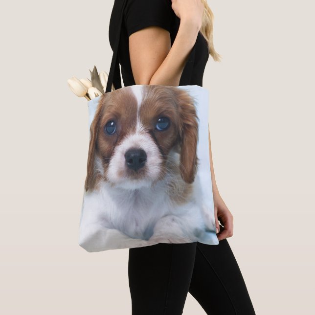 Stolt Spanielvalp för kung Charles Tygkasse (Närbild)