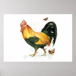 Stolt tupp med hönan och chickens. poster