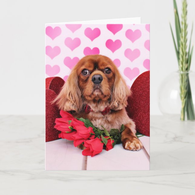 Stolt valentines - - Cooper Helgkort (Framsida)