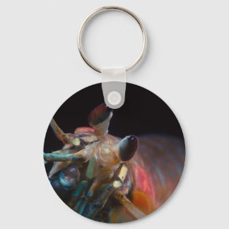 Stomatopod (Mantis Shrimp) Nyckelring
