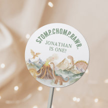 Stomp Chomp Rawr Boy Dinosaur 1:a födelsedagen Par