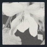 Stona Underlägg<br><div class="desc">Vår Blommigt Photo Design Underlägg</div>
