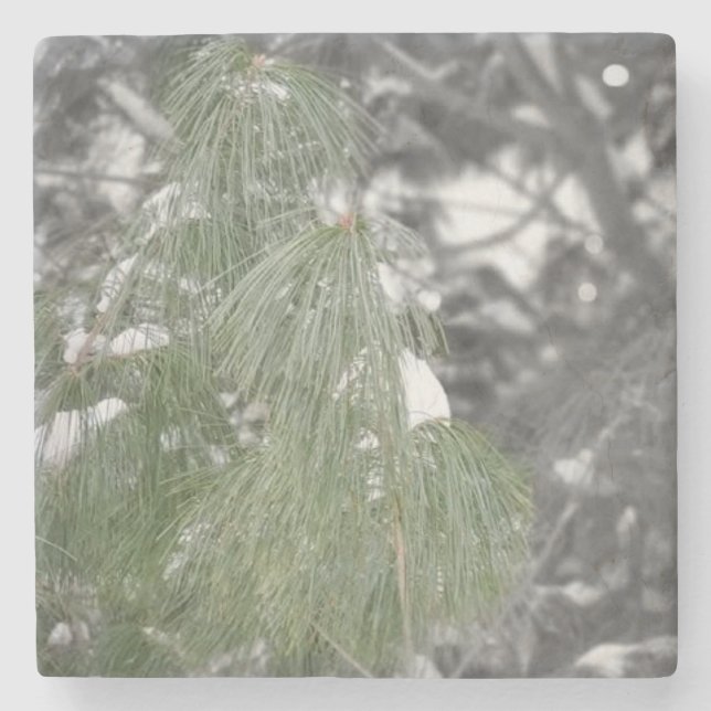 Stona Underlägg (Framsidan)