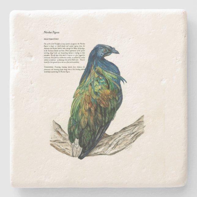 Stona Underlägg (Framsidan)