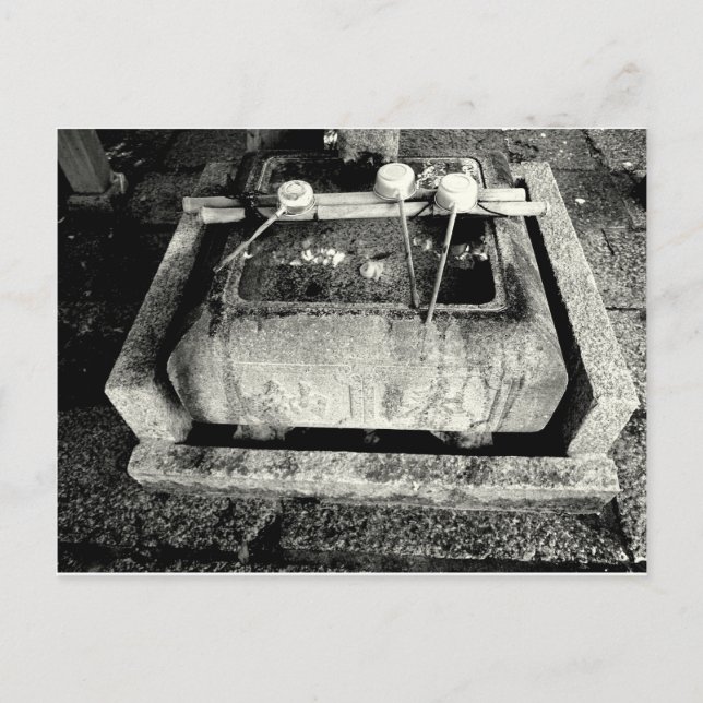 Stone Basin & Vatten Scoops Vykort (Framsida)