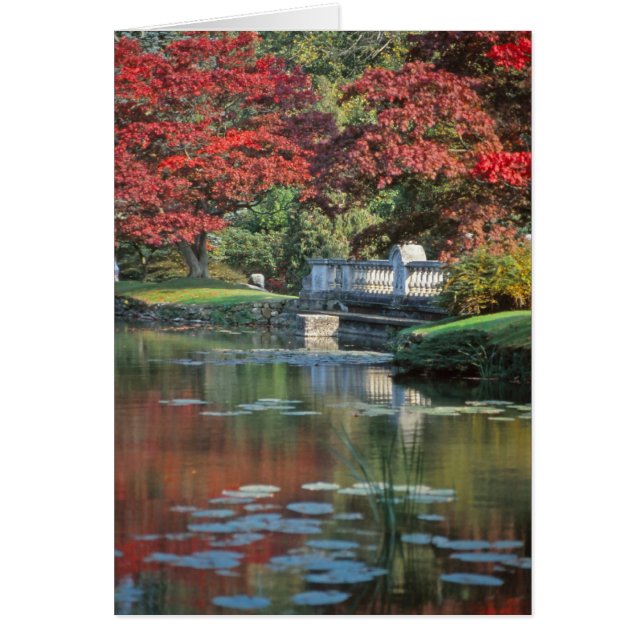 Stone-bryggkort Hälsningskort (Framsidan)