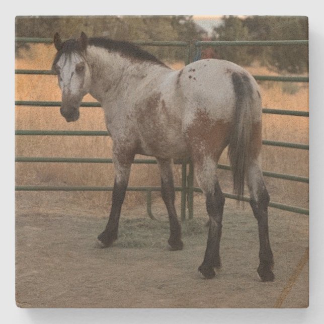 Stone Coaster_appy backside  Stenunderlägg (Framsidan)