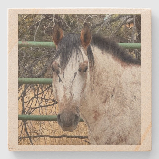Stone Coaster- Happy Appy  Stenunderlägg (Framsidan)