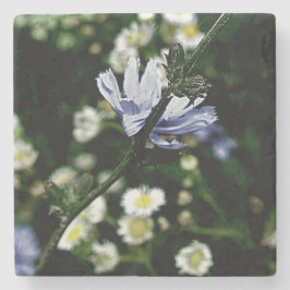 Stone Coaster Stenunderlägg