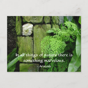 Stone Garden: Aristoteles - vykort