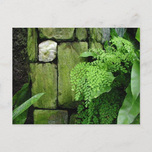 Stone Garden - vykort (Framsida)