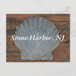 Stone Harbor Scallop Snäcka Postcard Vykort