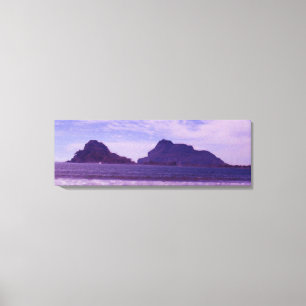 Stone Island-Oljemålningen Canvastryck