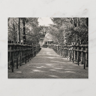 Stone Lantern Path at a Japanese Shrine – Black an Vykort