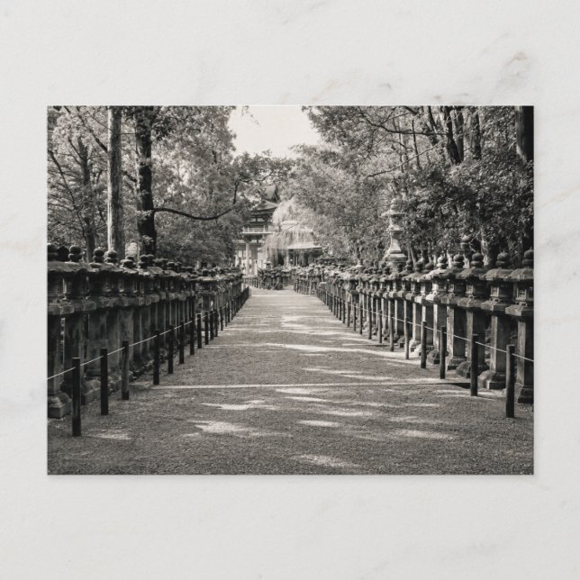 Stone Lantern Path at a Japanese Shrine – Black an Vykort (Framsida)