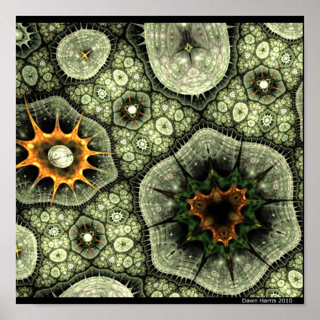 Stone Lichen Poster (Framsidan)