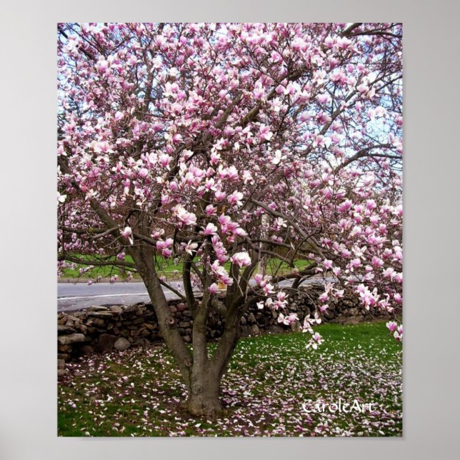 Stone Magnolias Art Poster (Framsidan)