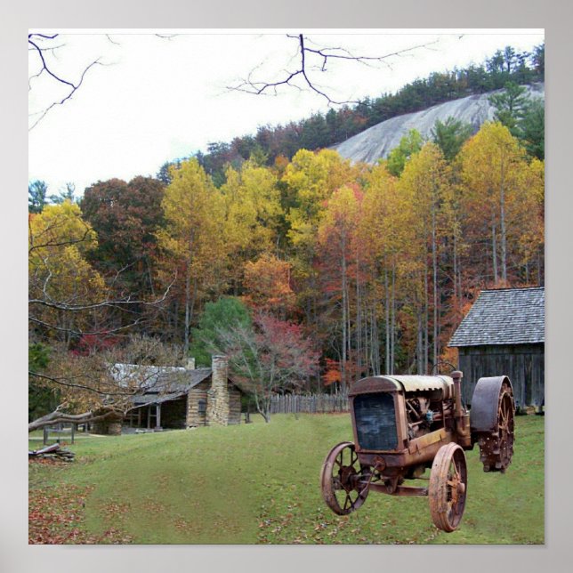 STONE MOUNTAIN-N.C. STATE PARK-POSTER POSTER (Framsidan)